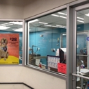 Petco - Pet Stores