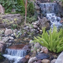 Advanced Landscape Systems - Ponds & Pond Supplies