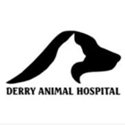 Derry Animal Hospital