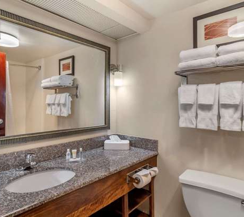 Comfort Inn & Suites - Athens, GA