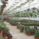 Kent Countryside Nursery - Nurseries-Plants & Trees