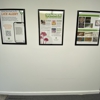 Lice Clinics of America - West Los Angeles gallery