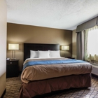 Comfort Inn & Suites Crystal Inn Sportsplex