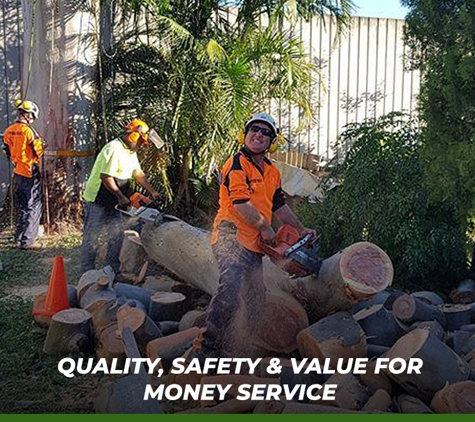 Plumb Trees - Croydon Park, NSW. Quality, Safety & Value For Money Service