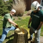 Hansen's Tree Service & Landscaping