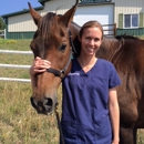 Aspen Creek Veterinary Hosp - Pet Services