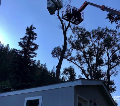 Wilson's Tree Service - Red River, NM