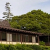 Palo Alto University gallery