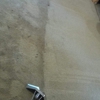 Bravo Carpet Cleaning Services gallery