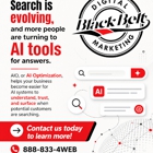 Black Belt Digital Marketing