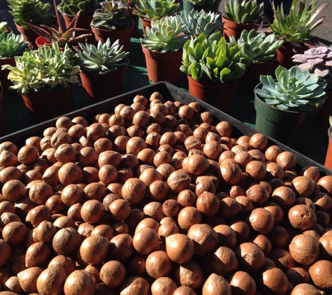 Leucadia Farmers Market - Encinitas, CA