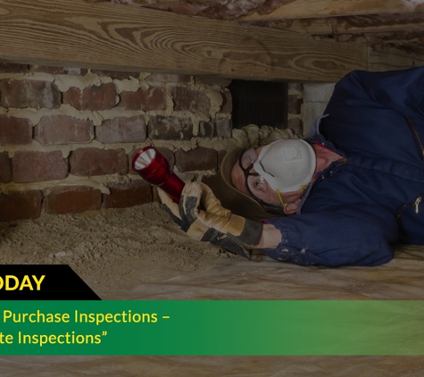 Ridley's Pest Control - Echuca, VIC. Pre-Property Purchase Inspections – General Termite Inspections