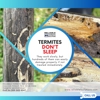 Reliable Termite Solutions gallery