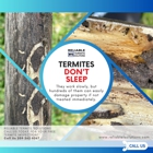 Reliable Termite Solutions