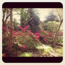 Planting Fields Arboretum State Historic Park - Arboretums