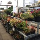 Tractor Supply Co - Garden Centers