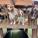 BratPak Dog Kamp - Livermore - Pet Boarding & Kennels
