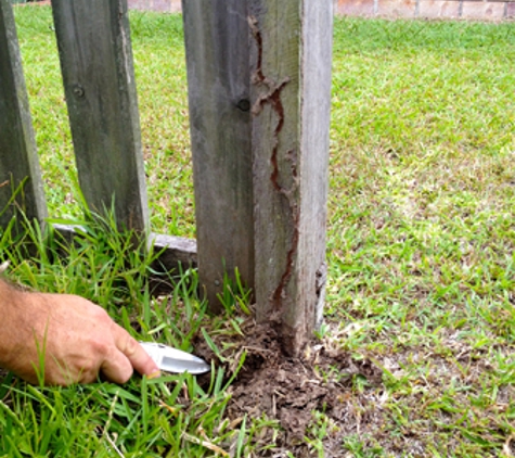 Amalgamated Pest Control - Arcadia, QLD
