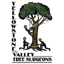 Yellowstone Valley Tree Surgeons - Tree Service