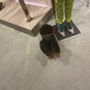 Gucci - Women's Clothing
