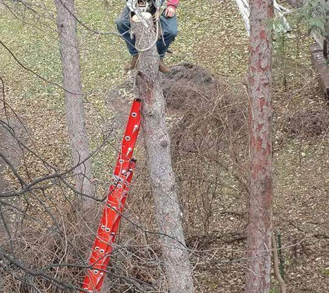 Mr. Canopy Tree Care - Fargo, ND