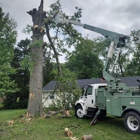 Thompson Tree Care and Landscaping
