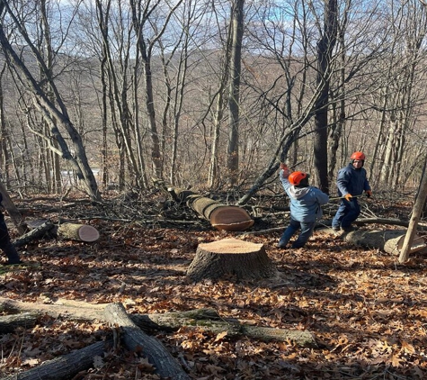 Jeovany's Tree Service