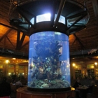 Champion Aquariums