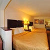 Quality Inn & Suites near Panama City Beach gallery