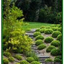 Prescott Landscaping - Landscape Contractors