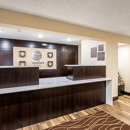 Comfort Inn Matteson - Chicago - Motels