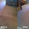 Wellington Carpet Cleaning gallery