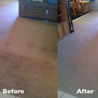 Wellington Carpet Cleaning