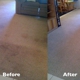 Wellington Carpet Cleaning