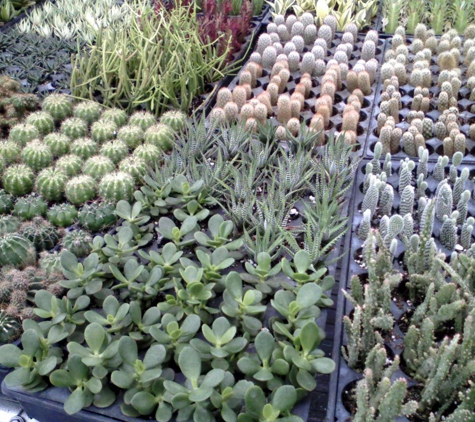 BLB Foliage & Cactus - Apopka, FL