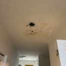 FDP Mold Remediation of Arlington - Mold Remediation