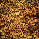 Blandin Paper Co - Paper Products-Wholesale & Manufacturers