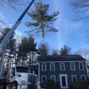 JSP Tree Solutions - Tree Service