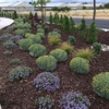 Alpine Landscape Co gallery