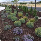 Alpine Landscape Co