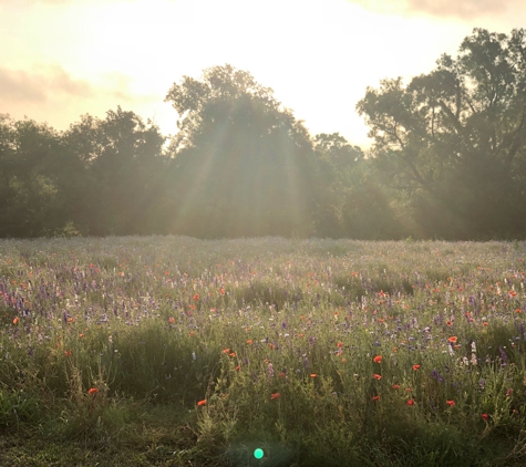 Crowley Park - Richardson, TX