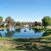 Oasis Palms RV Resort gallery