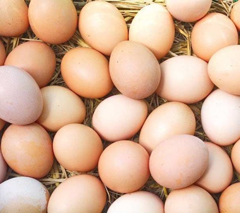 Suncoast Wholesale Eggs - Peregian Beach, QLD