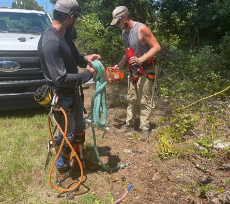 Tree Masters Tree Service