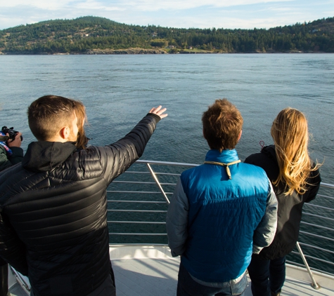 Seattle Orca Whale Watching - Seattle, WA