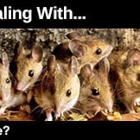 Animal & Pest Control Specialists, Inc.