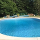 Blue Dolphin Pools & Spas LLC