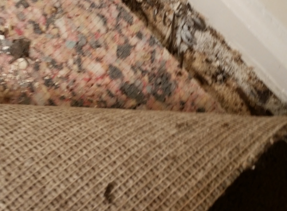 Holland Park Apartments - Lawrenceville, GA. Carpet Tested Positive for 3 types of MOLD