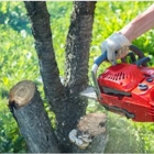 EI Gabilan Tree Service