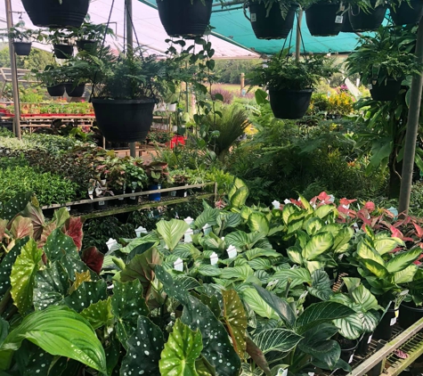 Rosemount Nursery - Rosemount, QLD